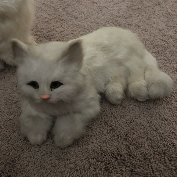 Faux Fur Kittens - Picture 2 of 5